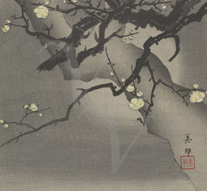 Flowering moonlit cherry tree. Japanese woodblock. Fine art print