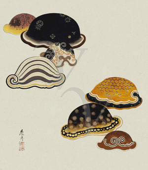 Seashells. Japanese lacquer painting by Shibata Zeshin. Fine art print 