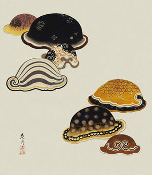 Seashells. Japanese lacquer painting by Shibata Zeshin. Fine art print 