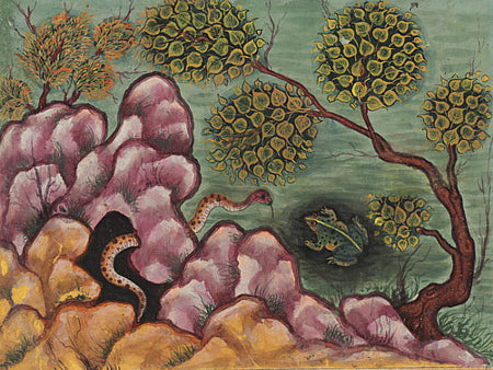 Snake and Frog Persian painting. Indian, Mughal wall art. Fine Art Print