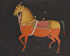 Mughal Isabelle Stallion. Indian horse painting. Fine art print 
