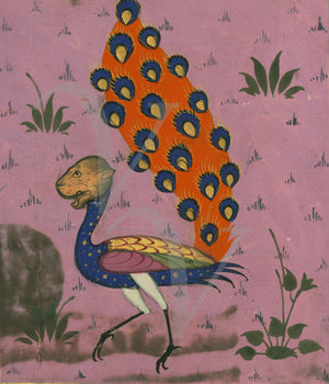 Persian bestiary peacock. Strange bird. Fine art print
