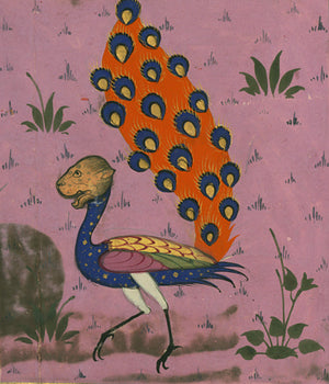 Persian bestiary peacock. Fine art print