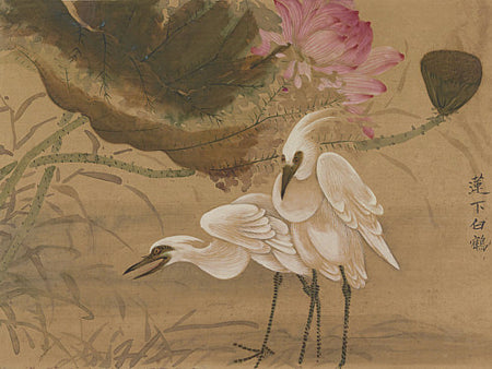 Egrets and Lotus. Antique Chinese painting. Fine art print