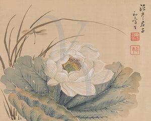 Lotus flower. Japanese painting. Fine art print 