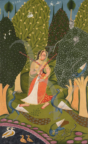 Indian Ragamala Painting.Woman with Peackcocks. Fine Art Print