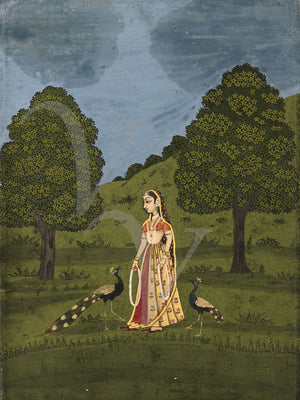 Antique Indian Ragamala painting of a woman with two peacocks Fine art print