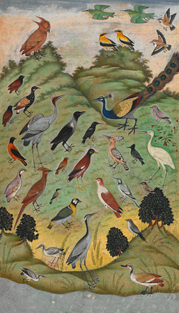 Assembly of Birds painting. Persian animal fables. Fine art print 