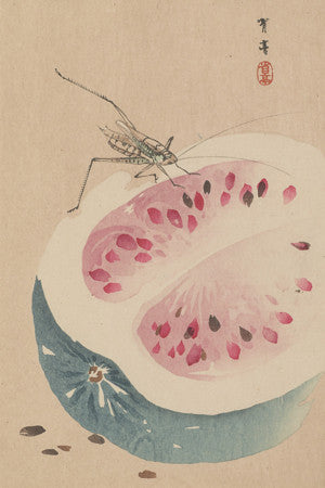 Insect and Watermelon by Watanabe Seitei. Antique Japanese painting. Fine art print