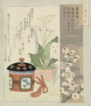 Flowering Plum and Primose by Totoya Hokkei. Japanese fie art print 