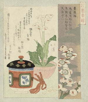 Flowering Plum and Primose by Totoya Hokkei. Japanese fie art print 
