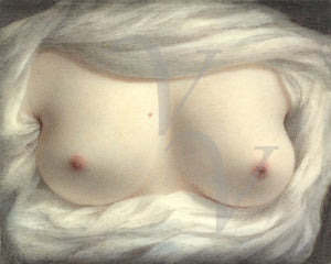 Beauty Revealed. Vintage erotica. Painting of female breasts. Fine art print 