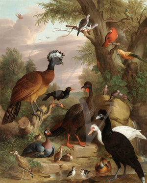 Assembly of Birds. Antique painting. Fine Art print 