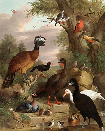 Assembly of Birds. Antique painting. Fine Art print 