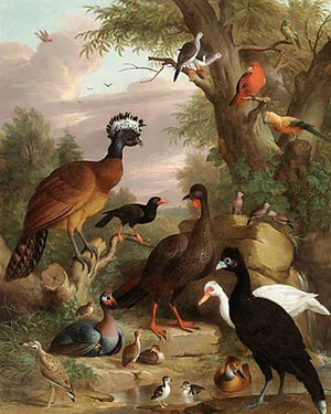 Assembly of Birds. Antique painting. Fine Art print 