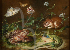 Frog, mouse and moths. Antique painting. Fine art print