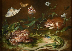 Creatures of the Forest Floor. Antique painting. Fine art print