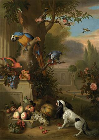 Parrots and Dog in an Opulent Garden. Antique painting. Fine Art Print
