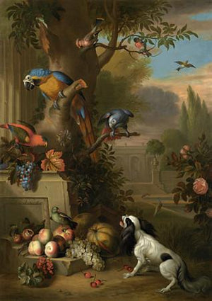 Parrots and Dog in an Opulent Garden. Antique painting. Fine Art Print