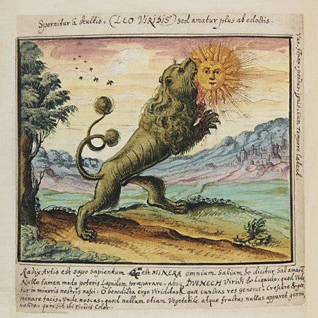 Leo Viridis (The Green Lion) devours the sun. Alchemical illustration