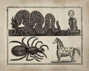 Victorian Curios. Spider, Dragon, horse and boy. Fine Art Print