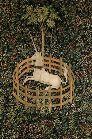 Magical Unicorn. Mythical Medieval animals. Fine Art Print