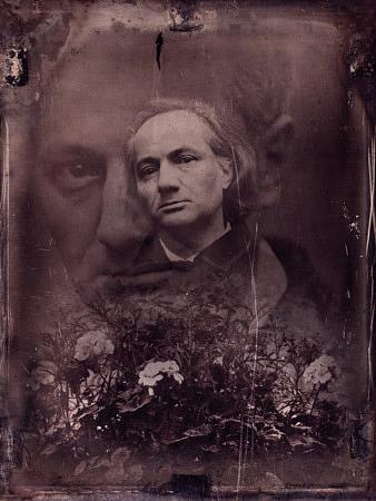 Flowers of Evil. Charles Baudelaire. Original Collage. Fine Art Print