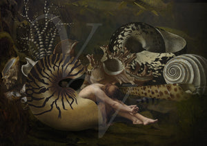 Siren of the Shells. Original Collage. Woman in an fantastical ocean setting. 
