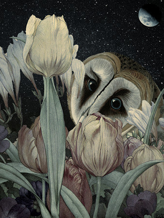 While the Garden Sleeps. Owl with Tulips, under moon in a night sky with stars
