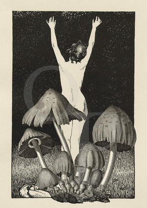 Morning Glory. Female nude with mushrooms collage