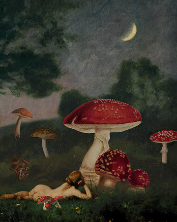 The Dreaming Field. Woman lying under night sky with mushrooms
