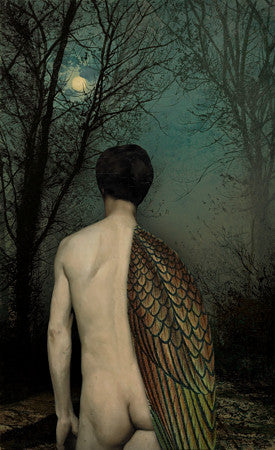 Insomnia. Male nude with wing under full moon collage