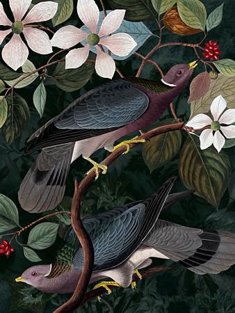 Fruits of the Forest - Venus Art PrintsFruits of the Forest. Rain forest birds. Dark floral original collage. Fine art print