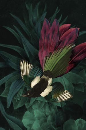 Night Flyer collage. Dark floral forest bird fine art print