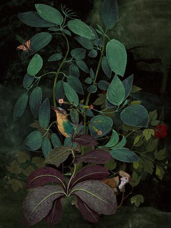 Verdant Retreat. Rain forest birds collage. Fine art print 