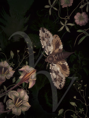 Wildwood. Forest moth with dark florals. Fine art print