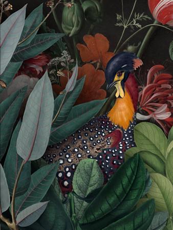 Sanctuary. Colorful bird dark forest collage. Fine art print
