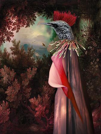 Dawn in the Flying Garden. Abstract bird art print. Dream art. Original collage. Fine art print