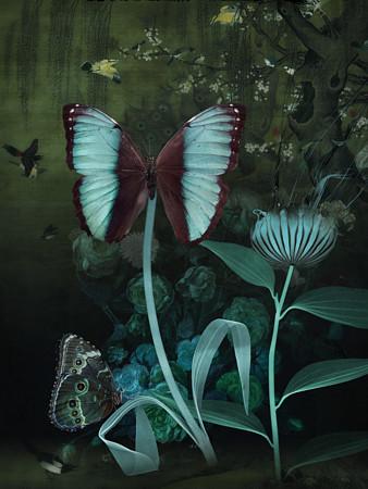 Midnight Garden. Dark butterfly forest collage. Fine art print 