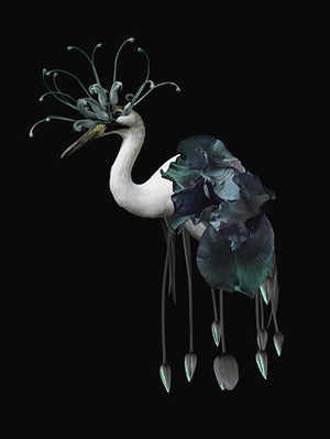 Dreaming Bird. Surreal exotic nature. Original collage. Fine art print