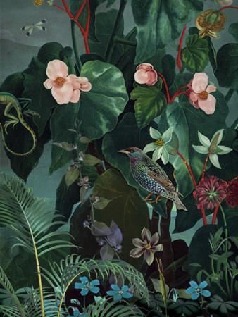 Daybreak dark floral lush exotic plants with birds botanical original collage. Fine Art Print