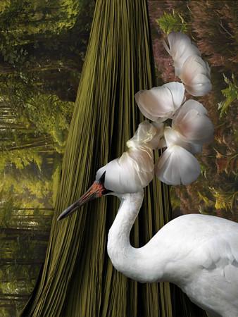 Solstice. Abstract surreal flower bird original collage. Fine art print