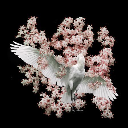 Large white bird with flowers. Constellation. Original abstract collage art. Fine art print