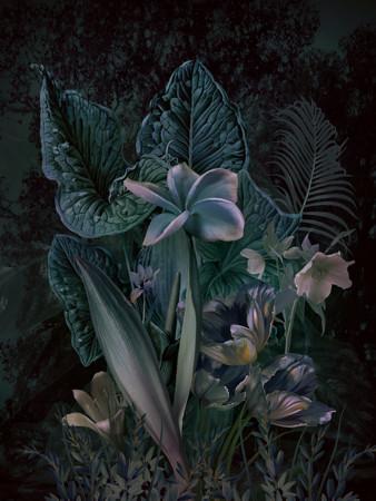 Moon Garden. Lush night flowers. Fine art print