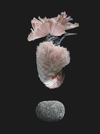 Earth Song. Flower bird collage. Surreal nature. Fine art print