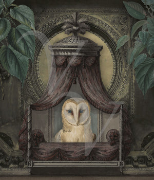 Parliament of Owls. Original collage. Fine art print