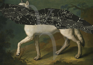 West with the Night. Wolf and stars. Celestial white wolf. Wolves. Dream art. Fine art print