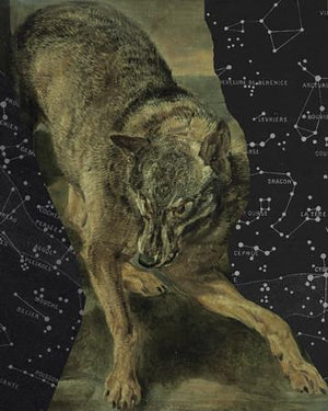 Wolf and stars collage. Celestial animal wall art. Fine art print