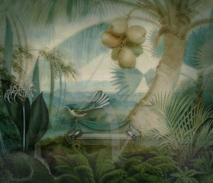 Beautiful Day. Tropical Forest Bird. Nature Collage. Fine Art Print