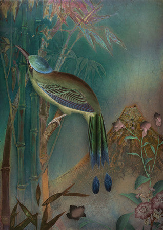 Rainbow Garden. Bird in an exotic landscape collage. Fine art print